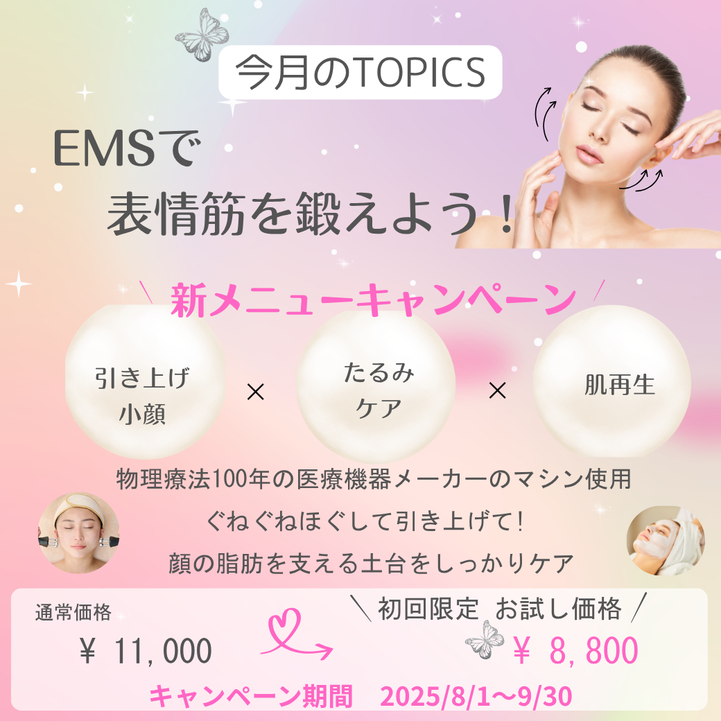 ガウディスキン (GAUDISKIN)